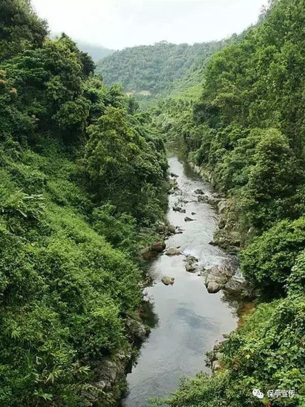 三小只僵尸的游戏时间4